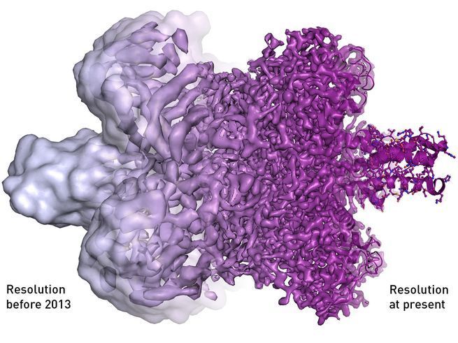   The resolution progression of cryo-EM. © Martin Högbom, Stockholm University