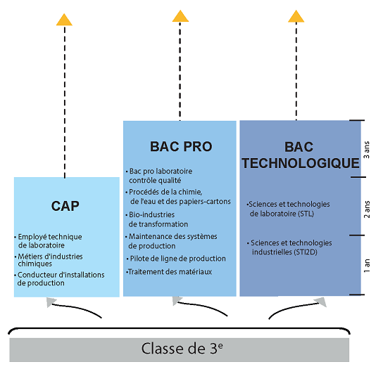 Parcours de formation : BAC Pro / BAC général ou technologique