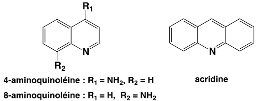 8-aminoquinoléine, 4-aminoquinoléine et acridine