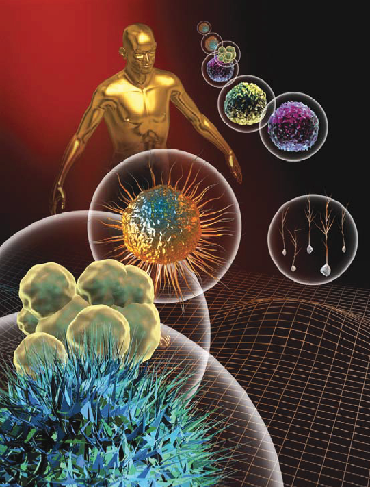 Chimie du et pour le vivant : objectif santé Chimie du et pour le vivant : objectif santé