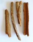 Écorce de quinquina (Cinchona officinalis) par H. Zell — Travail personnel, CC BY-SA 3.0, Wikimedia