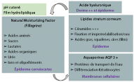 Méthodes utilisées pour la caractérisation des types de rosacée et l’identification de cibles thérapeutiques. Méthodes utilisées pour la caractérisation des types de rosacée et l’identification de cibles thérapeutiques.