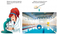 Illustration Cécile Parry