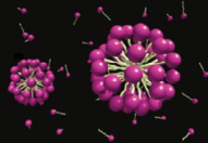 Les tensioactifs forment des micelles dans le contexte d’émulsions ou de microémulsions. Les tensioactifs forment des micelles dans le contexte d’émulsions ou de microémulsions.