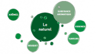 Le jargon des parfumeurs et des aromaticiens.