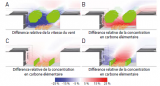Influence de la nature de l’écran de végétation sur la diffusion d’un polluant (carbone élémentaire). Source : d’après Environ. Poll., 183 :113-122. © DR Influence de la nature de l’écran de végétation sur la diffusion d’un polluant (carbone élémentaire).