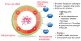Altération de la symbiose entre l’hôte et ses microbes illustrant les quatre « leviers » s’entretenant par causalités circulaires.