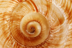 © boltenkoff / Adobe Stock