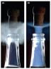 Crédits : © Equipe Effervescence avec l’aimable autorisation du Professeur Gérard Liger-Belair de l’Université de Reims.