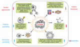 Les « epi-drugs » : un moyen de reprogrammer les cellules cancéreuses et de changer leurs caractéristiques. Source : adapté de Nature Reviews Clinical Oncology, 10 : 256-266.