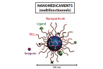 Un principe actif encapsulé dans une nanoparticule fonctionnalisée en surface offre une multifonctionnalité thérapeutique. DR.
