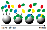 Représentation de l’effet corona : les (macro)molécules dans les milieux biologiques et dans l’environnement s’adsorbent sur les nano-objets. Représentation de l’effet corona : les (macro)molécules dans les milieux biologiques et dans l’environnement s’adsorbent sur les nano-objets.