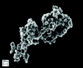 La microscopie électronique permet d’obtenir l’image des nanoparticules. DR.
