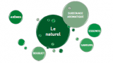 Le jargon des parfumeurs et des aromaticiens. © DR Le jargon des parfumeurs et des aromaticiens.