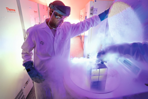 Tumor samples in liquid nitrogen