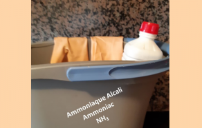 Ammoniaque Alcali, 1 litre