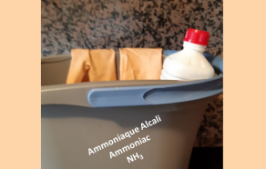 SUBSTITUT D'AMMONIAQUE en 1 Litre