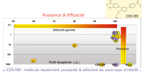 CD5789 : une molécule hautement puissante et sélective pour le récepteur RARγ de l’acide rétinoïque.