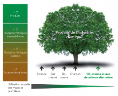 Les sources de carbone utilisées comme matière première pour la production de l’industrie chimique