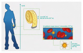 Le nanomètre : le domaine de l’infiniment petit