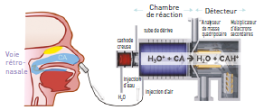 La spectrométrie de masse est une méthode de mesure in vivo des composés d’arôme libérés dans la cavité nasale lors de la consommation.