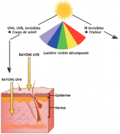 Les rayonnements du soleil et ses effets sur la peau