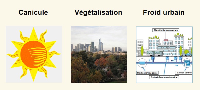 Illustration : Canicule / Végéalisation / Froid urbain