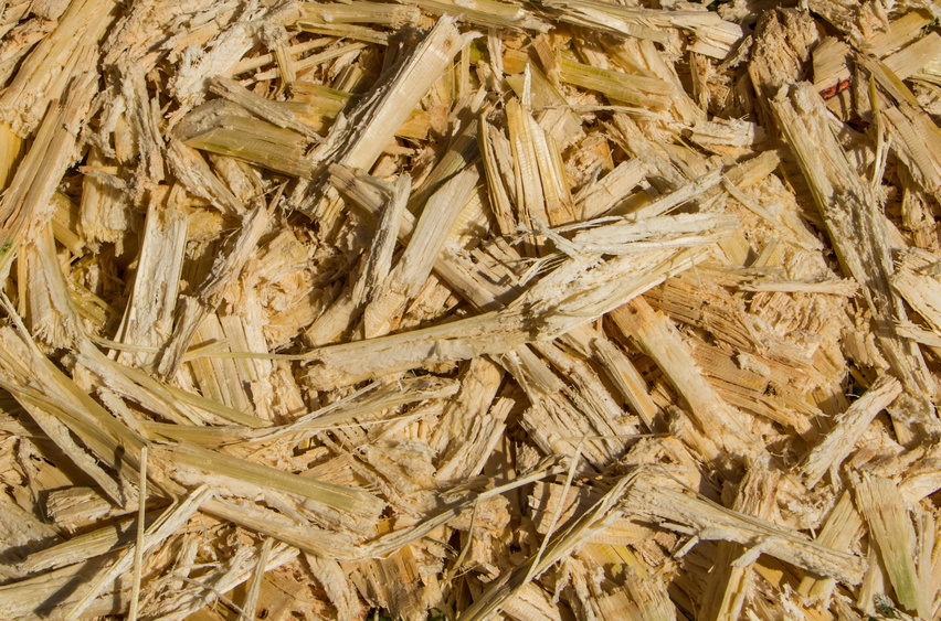 Sugar cane bagasse © idmanjoe - Fotolia.com Sugar cane bagasse