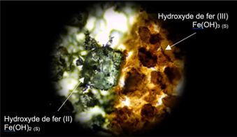 Formation des hydroxyde de fer(II) et de fer(III)