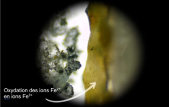 De l’incolore au jaune : oxydation des ions fer(II) en ions fer(III)