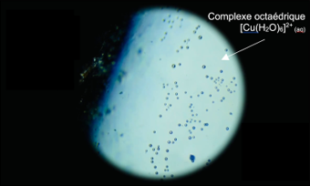 Complexe hexaaquacuivre(II) [Cu(H2O)6]2+ de couleur bleue