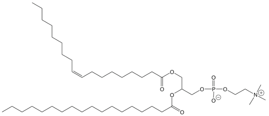 Lécithine