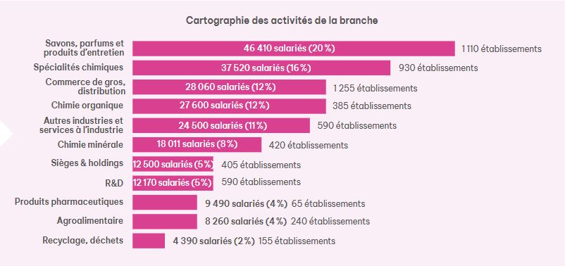 Répartition du nombre de salariés et nombre d’établissements selon les activités de branche. Source : Observatoire des Industries Chimiques, rapport 2025