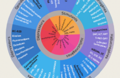 Centre d’Évaluation et d’Information sur la Pharmacodépendance – Addictovigilance