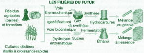 Fabrication de biocarburants (d'après D. Ballerini, Institut Français du Pétrole)
